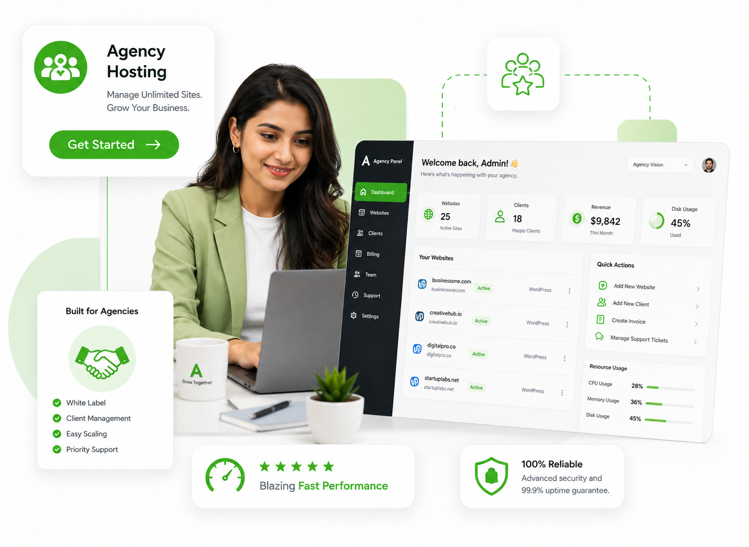 SkyeFlare Agency Hosting